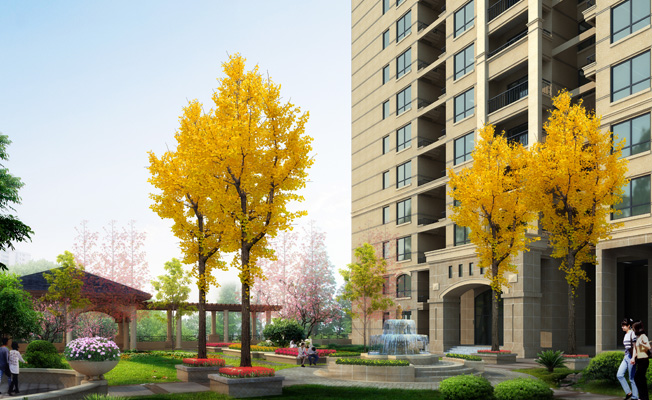 ʯ���Ѳ�.�����³�